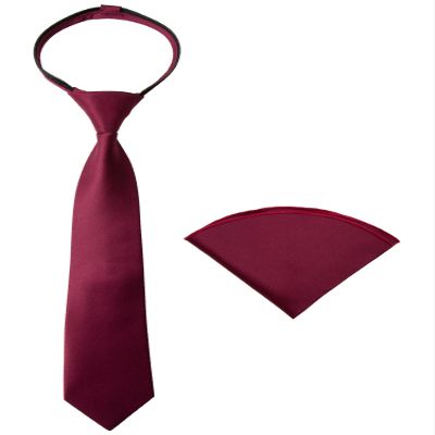 Spring Notion Boys' Satin Zipper Necktie and Handkerchief Set Extra Large Burgundy