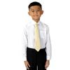 Spring Notion Boys' Satin Zipper Necktie and Handkerchief Set Small Yellow view 2
