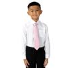 Spring Notion Boys' Satin Zipper Necktie and Handkerchief Set Extra Small Light Pink view 2
