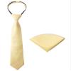 Spring Notion Boys' Satin Zipper Necktie and Handkerchief Set Extra Small Yellow view 1