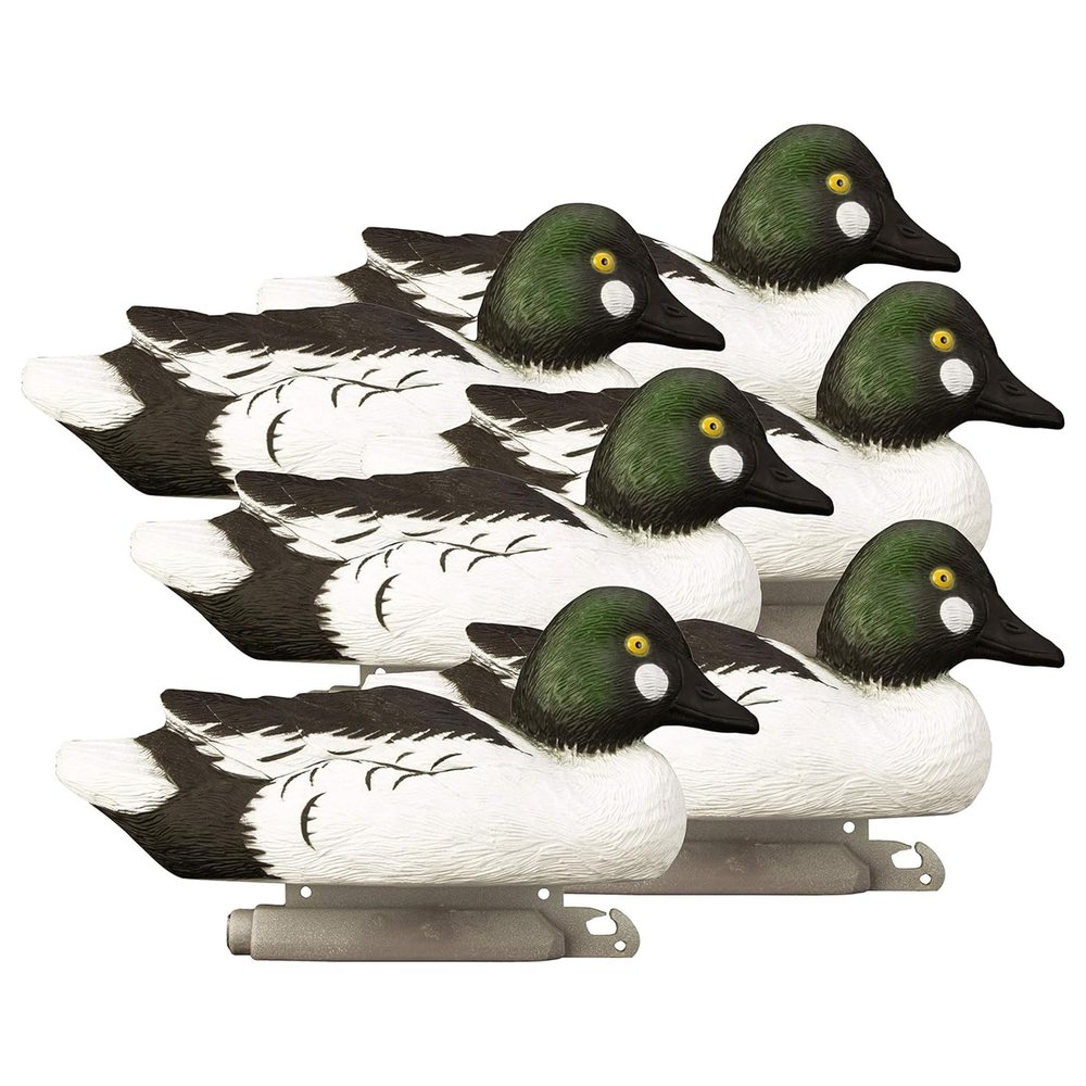 Higdon Outdoors Standard Goldeneye Floater Duck Decoys | Ultra Realistic Drake & Hen Decoys for Waterfowl Hunting | 6 Upright Drakes | Foam-Filled | 6pk