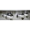 Higdon Outdoors Standard Goldeneye Floater Duck Decoys | Ultra Realistic Drake & Hen Decoys for Waterfowl Hunting | 6 Upright Drakes | Foam-Filled | 6pk view 4