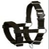 Alpaca Halter view 1
