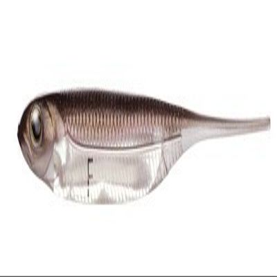 Fish Arrow fissyuaro- Lure Flash J 3# 600-f07 F hypomesus chishimaensis/Silver