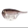 Fish Arrow fissyuaro- Lure Flash J 3# 600-f07 F hypomesus chishimaensis/Silver view 1