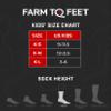 Farm to Feet Kids Boulder No Fly Zone Lightweight Hiking Merino Wool Crew, Berry, Small view 3