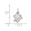 LogoArt 14k White Gold NHL Pittsburgh Penguins XS (Tiny) Charm or Pendant view 2