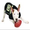 Pets First NCAA College Purdue Boilermakers Mesh Jersey for DOGS & CATS, XX-Large. Licensed Dog Jersey with your Favorite Football/Basketball College Team view 2