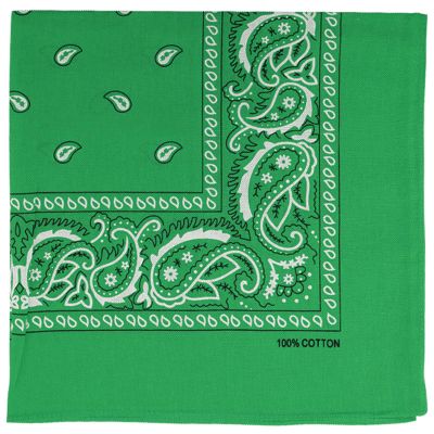 Raylarnia Bandana Multi-Purpose 100% Cotton Headbands for Women, 22 inch Paisley Cowboy Bandanas for Men