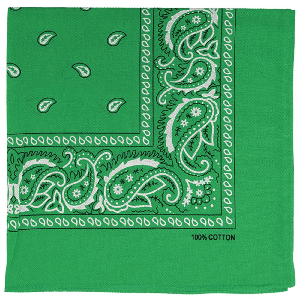 Raylarnia Bandana Multi-Purpose 100% Cotton Headbands for Women, 22 inch Paisley Cowboy Bandanas for Men