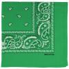 Raylarnia Bandana Multi-Purpose 100% Cotton Headbands for Women, 22 inch Paisley Cowboy Bandanas for Men view 1