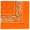 Raylarnia 100% Cotton Bandanas, 22" Bandana Headbands for Men Women view 1