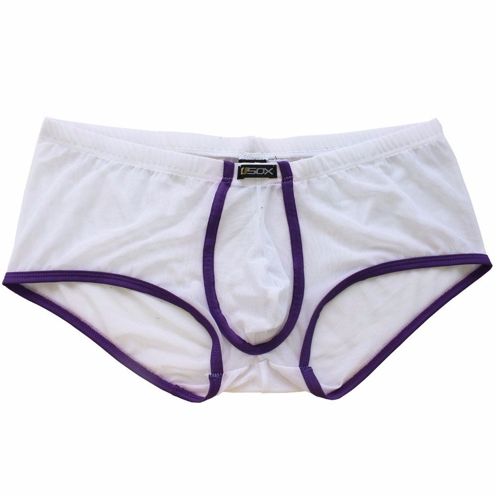 FEESHOW Men's Soft Sheer Mesh Boxer Briefs Shorts Underwear Lingerie Panties (White, M)