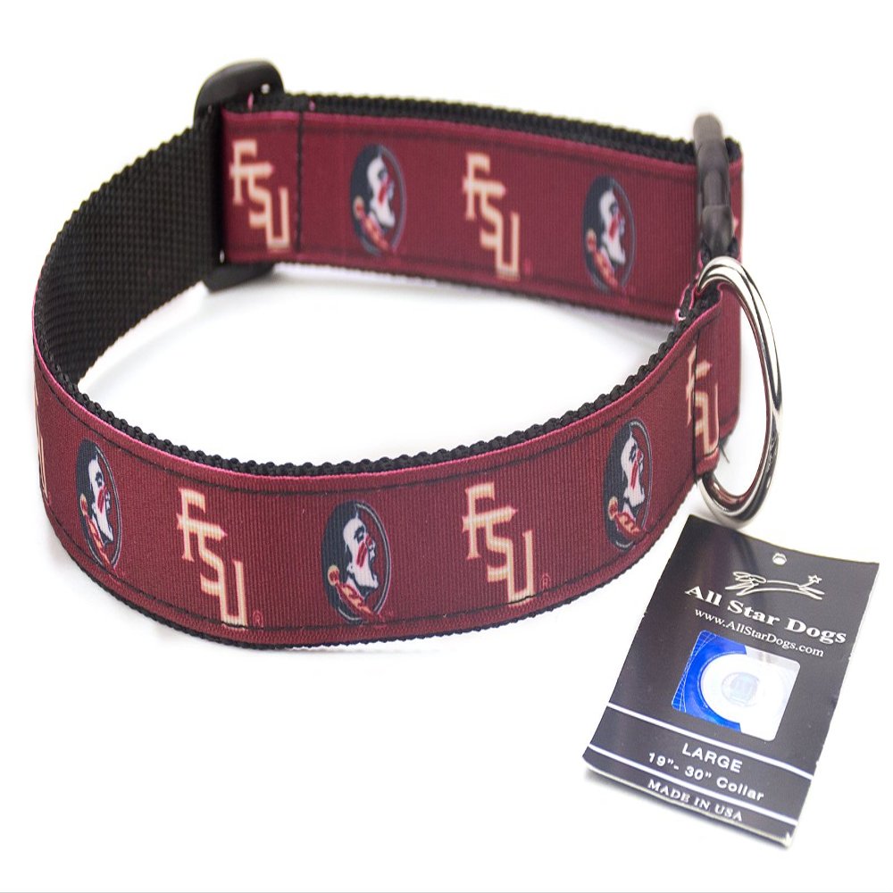 All Star Dogs Florida State Seminoles Ribbon Dog Collar - Large