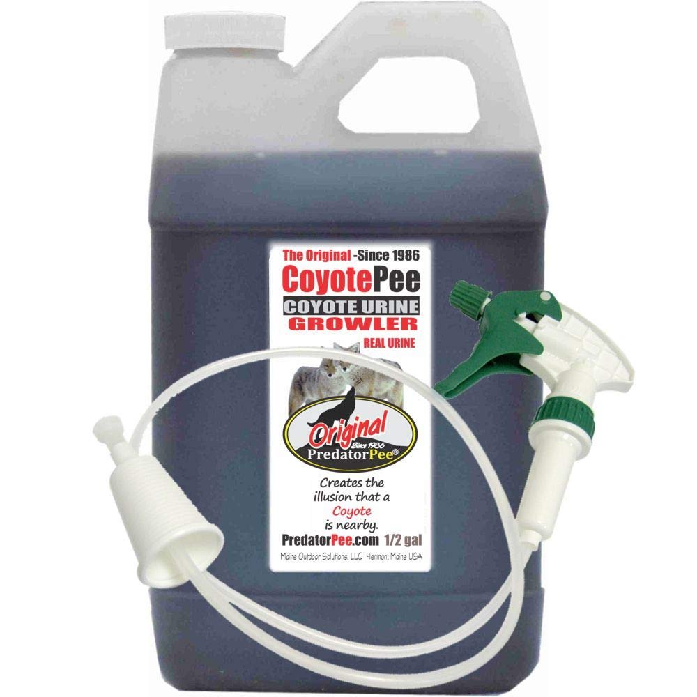 PredatorPee 100% Coyote Urine - Territorial Marking Scent - Creates Illusion That Coyote is Nearby - 64 oz