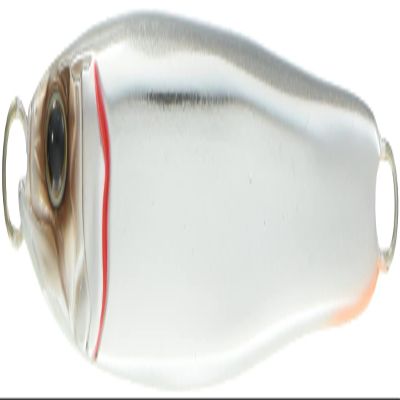 GAN Craft COSO JIG100#03 Metal Jig Lure, Silver Mirror