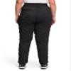 THE NORTH FACE Women's Aphrodite 2.0 Pant (Standard and Plus Size), TNF Black, Small Short view 4