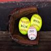 Rawlings | PLAYER PREFERRED Baseball First Base Glove | Left Hand Throw | 12.5" - Single Post Double Bar Web view 2
