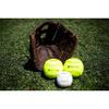 Rawlings | PLAYER PREFERRED Baseball First Base Glove | Right Hand Throw | 12.5" - Single Post Double Bar Web view 2