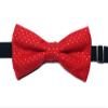 Christmas Bowties-newborn to Adults (Medium-6 to 12 Year Olds, Red and Gold Polka Dots) view 4