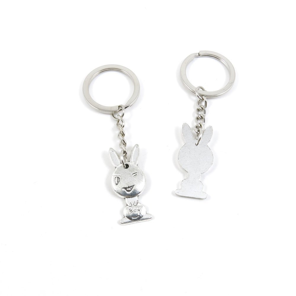 10 Pieces Fashion Jewelry Keyring Keychain Door Car Key Tag Ring Chain Supplier Supply Wholesale Bulk Lots F2YM5 Rabbit