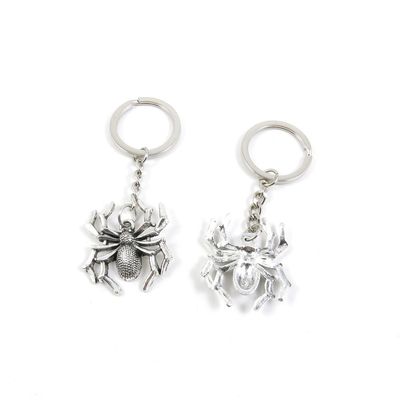 10 Pieces Fashion Jewelry Keyring Keychain Door Car Key Tag Ring Chain Supplier Supply Wholesale Bulk Lots Z2OH7 Spider