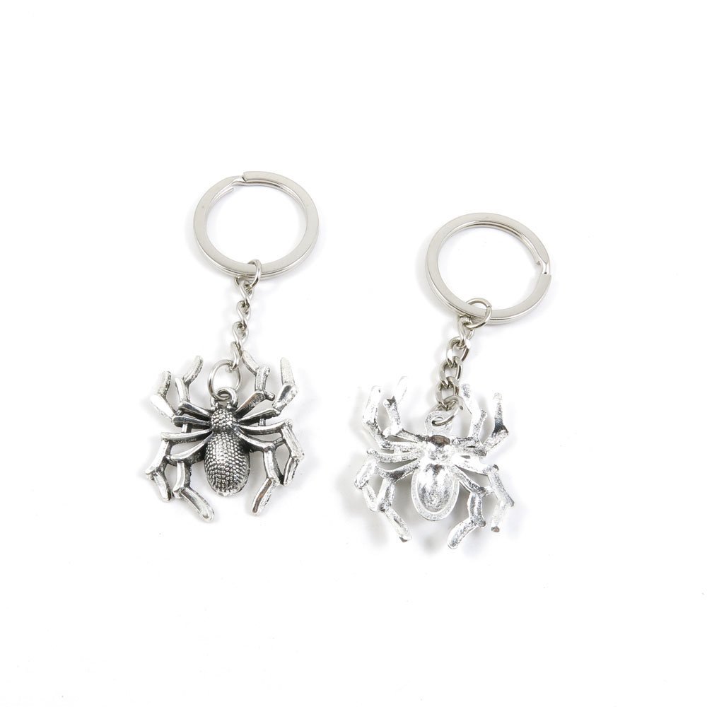 10 Pieces Fashion Jewelry Keyring Keychain Door Car Key Tag Ring Chain Supplier Supply Wholesale Bulk Lots Z2OH7 Spider