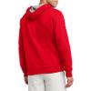 Champion Men's Hoodie, Fleece Striped Sweatshirt for Men (Reg. or Big & Tall) view 2