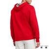 Champion Men's Hoodie, Fleece Striped Sweatshirt for Men (Reg. or Big & Tall) view 3