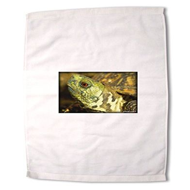 TOOLOUD Menacing Turtle Premium Cotton Sport Towel 16"x25"