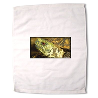 TOOLOUD Menacing Turtle Premium Cotton Sport Towel 16"x25"