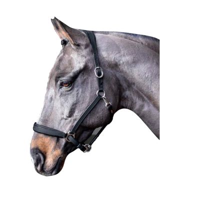 John Whitaker Ready to Ride Head Collar Cob Black