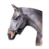 John Whitaker Ready to Ride Head Collar Cob Black view 2