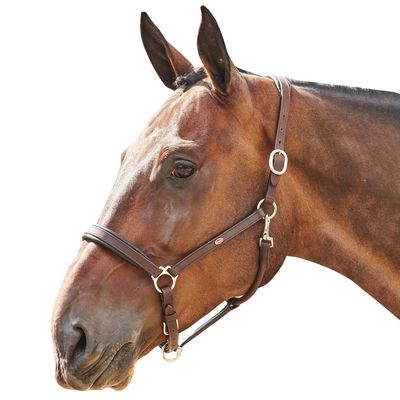 John Whitaker Ready to Ride Head Collar Cob Brown
