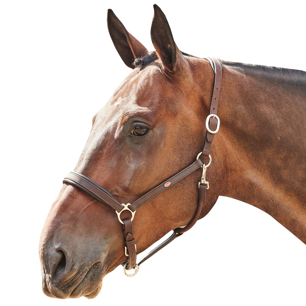 John Whitaker Ready to Ride Head Collar Cob Brown