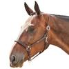 John Whitaker Ready to Ride Head Collar Cob Brown view 1