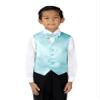Spring Notion Boys' 4-Piece Satin Tuxedo Vest Set 3T Aqua view 3