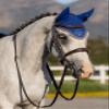 LeMieux Classic Ear Bonnet with Soft Lycra Ears - Close Knit Crochet - Comfortable Fit Equestrian Mask - Sport Horse Wear Fly Protection - Benetton Blue - Medium view 2