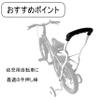 Maruhachi Assist Bar, MAB, White view 3