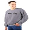 Brisco Brands Animal House Faber College Frat Party Sweatshirt for Men or Women Sport Grey view 4