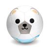Daball Kid and Toddler Soccer Ball - Size 1, Pump and Gift Box Included (Tom, The Polar Bear) view 1