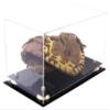 Better Display Cases Clear Acrylic Baseball Catchers Glove Display Case with Gold Risers (A011/V16) view 1