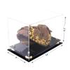 Better Display Cases Clear Acrylic Baseball Catchers Glove Display Case with Gold Risers (A011/V16) view 2