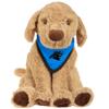 FOCO Carolina Panthers Bandana Puppy - Kit view 1