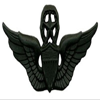 American Packing & Gasket Master Aviator Subdued Badge