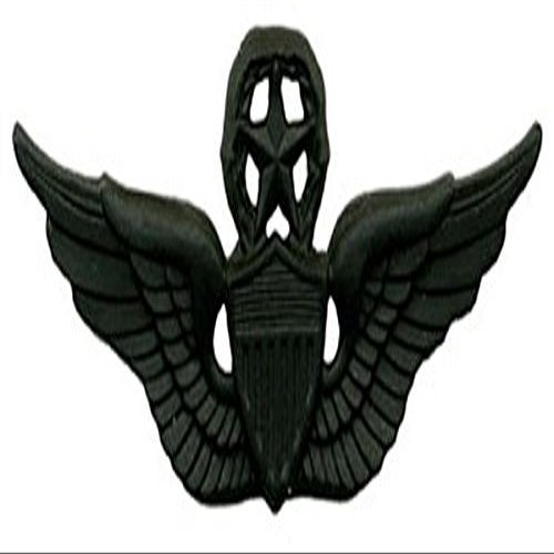 American Packing & Gasket Master Aviator Subdued Badge