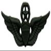 American Packing & Gasket Master Aviator Subdued Badge view 1