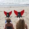 Sun Tails Mermaid Monofin (Red, Nunui - Teen/Adult Size) view 2