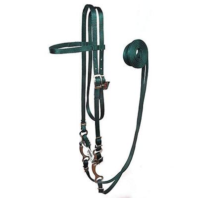 5/8" Nylon Horse Bridle | Durable Nylon Bridle | Lightweight Horse Tack | Everyday Riding Equipment