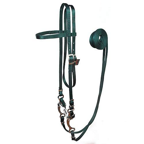 5/8" Nylon Horse Bridle | Durable Nylon Bridle | Lightweight Horse Tack | Everyday Riding Equipment